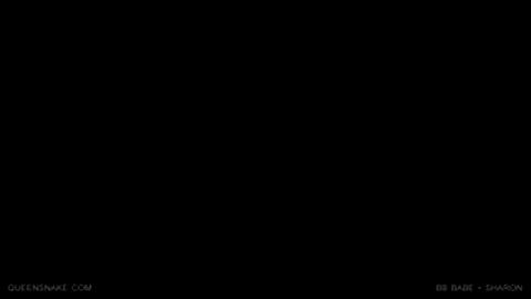 48173